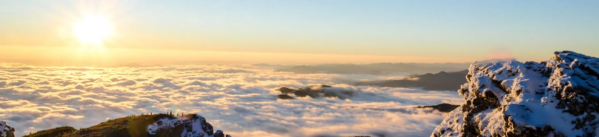 지연으로 인해 Mountain View 및 Los Altos 고등학교에 새로운 행정 건물이 문을 열었습니다.