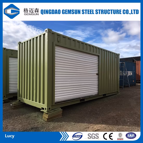 조립식 Flatpack 품질 컨테이너 하우스/컨테이너 사무실